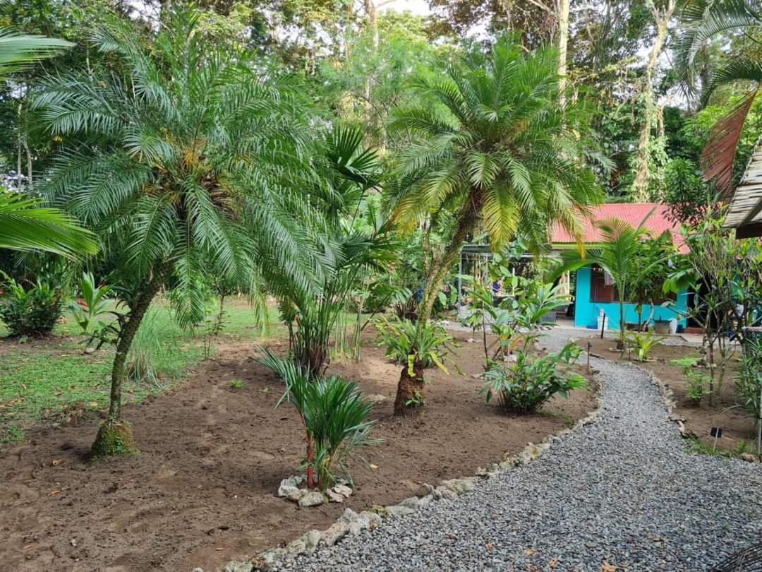 Mono Azul Cahuita Villa Ngoại thất bức ảnh